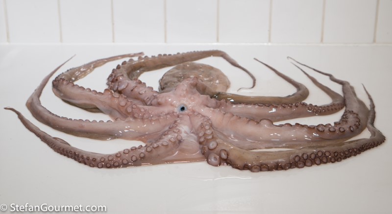 Blæksprutte sous vide