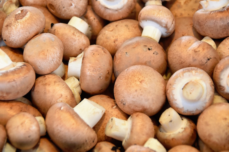 brune champignon