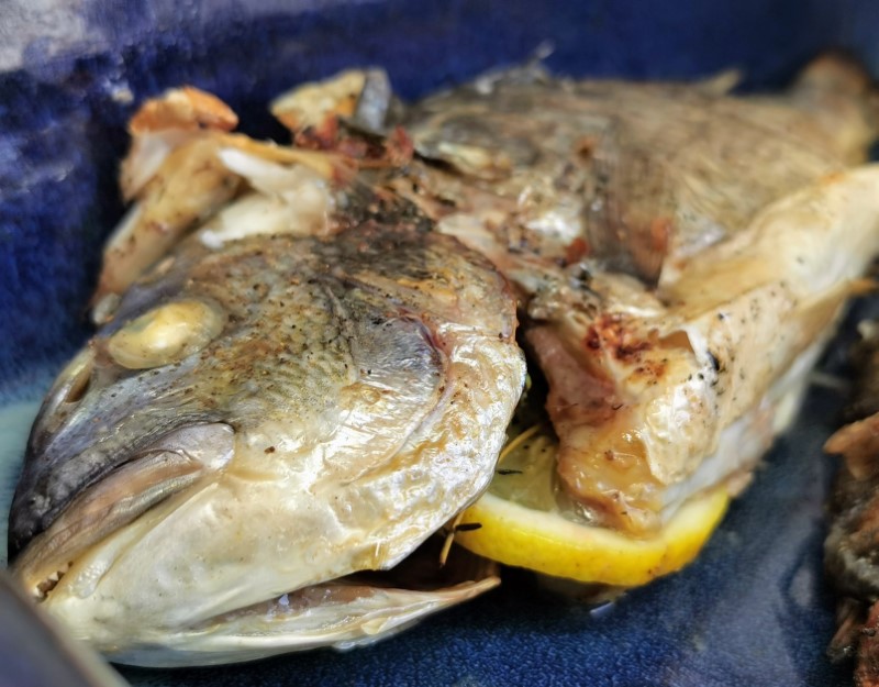 Grillet dorade