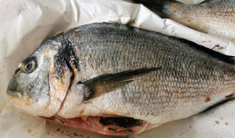 Grillet dorade