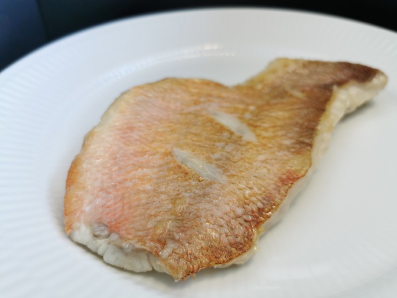 Rødfisk