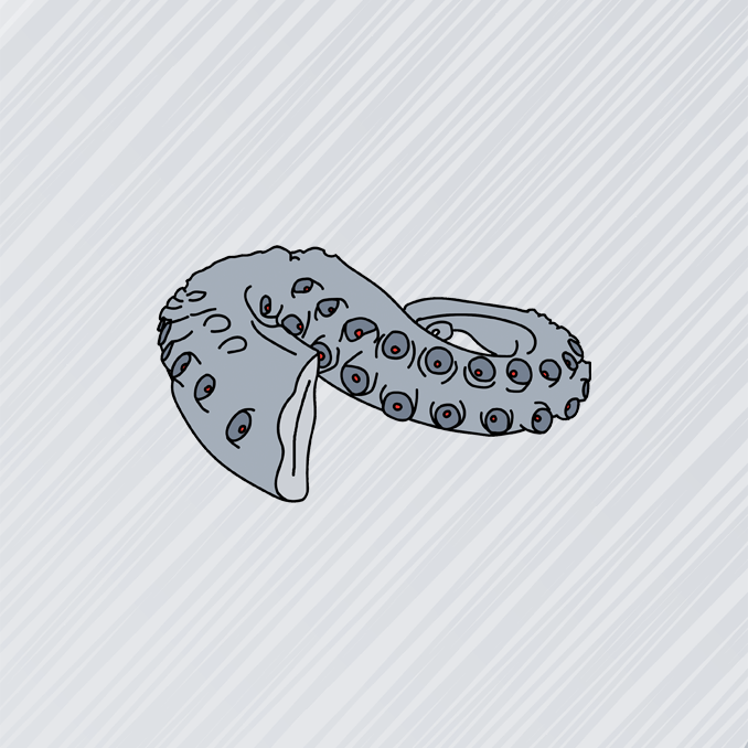 Blæksprutte