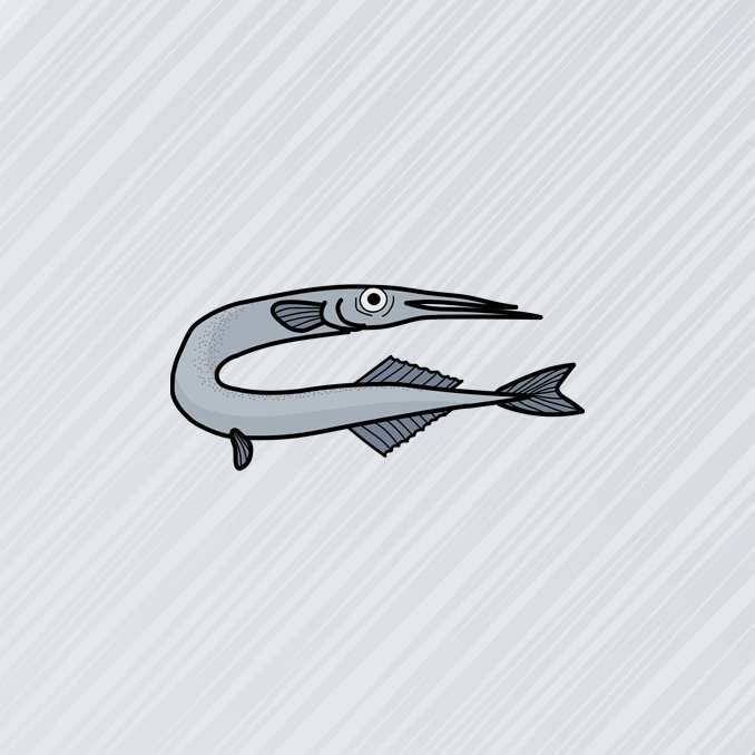 Hornfisk