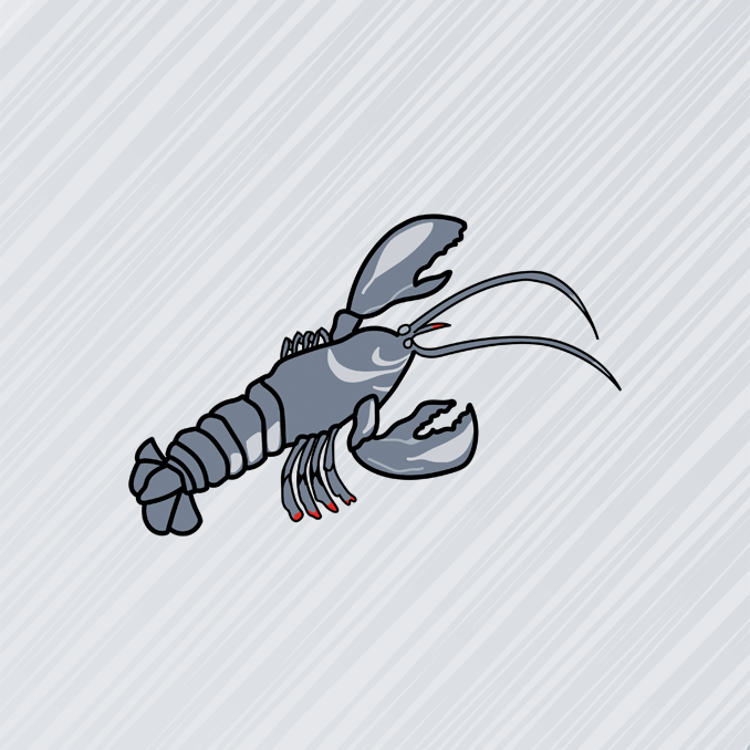 Hummer