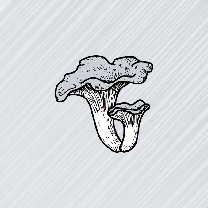Kantareller