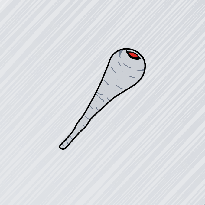 Pastinak