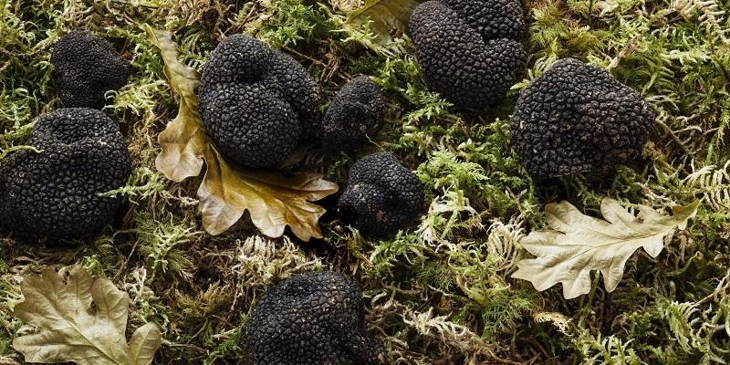 Artisan De La Truffe produkter med trøffel -(c)trøffelentusiasten.com